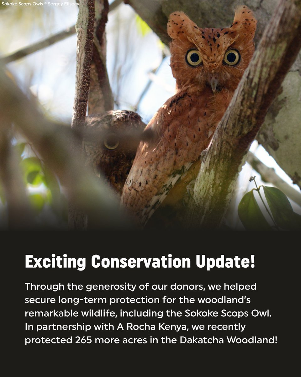Rainforest Trust tweet media