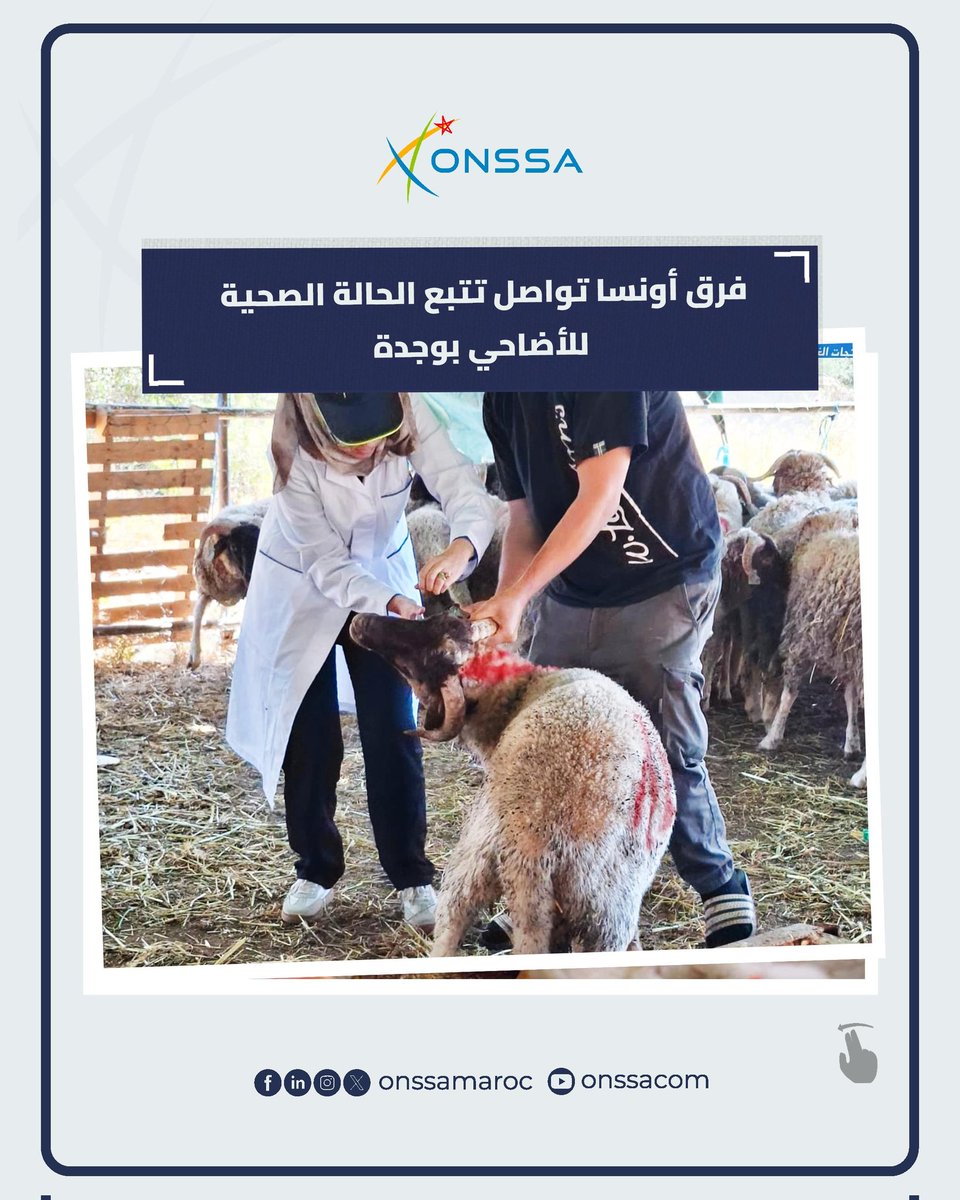 المكتب الوطني للسلامة الصحية للمنتجات الغذائية tweet media