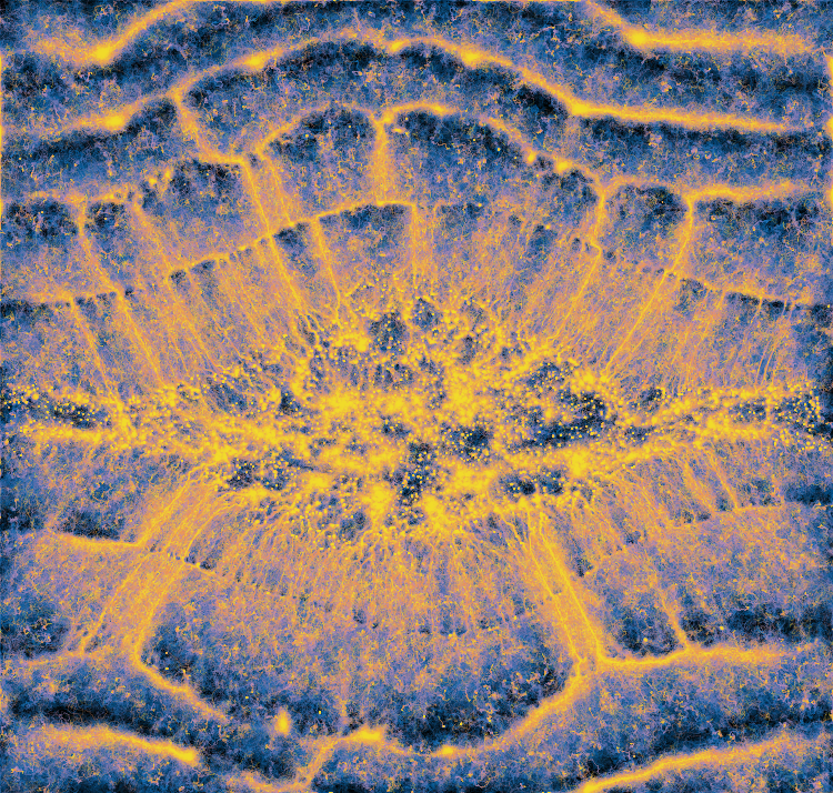 MathChaosArt's tweet photo. "Event Horizon"
A new batch of NFTs for the Math Chaos Patterns collection has been dropped at https://t.co/Y6D0zkIZSG https://t.co/UskTZQhlxP