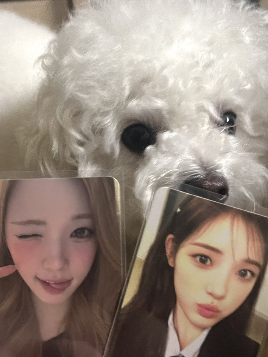 현♡ tweet media