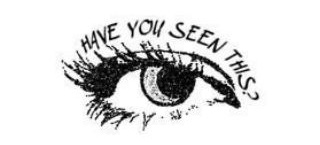 haveyouseenthis_____ tweet media