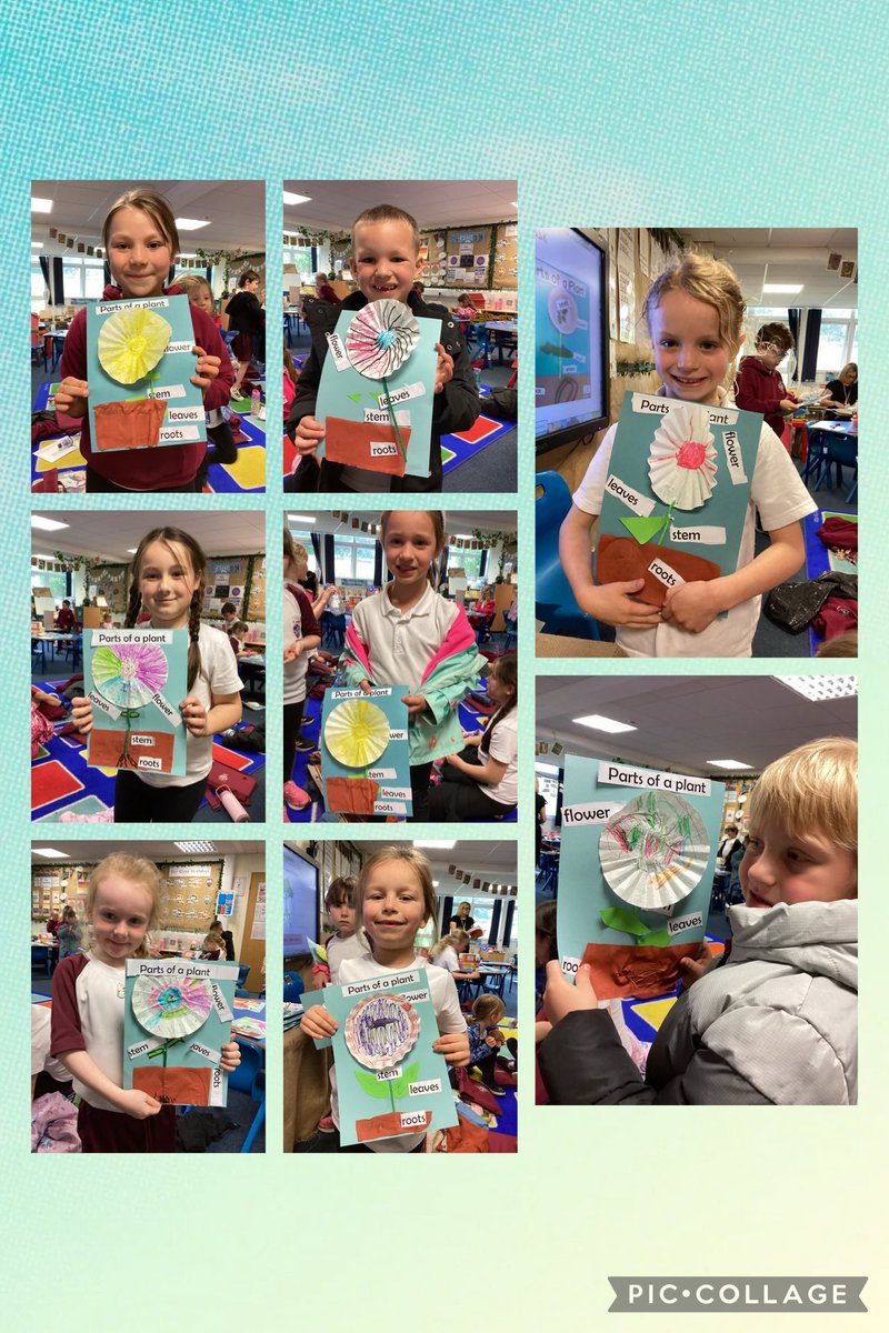 Year1withMissE's tweet photo. We have been learning about plants in our science lessons, today the children described the basic structure of a flower using lots of different materials 🌻 https://t.co/1Hk5mnpEM0