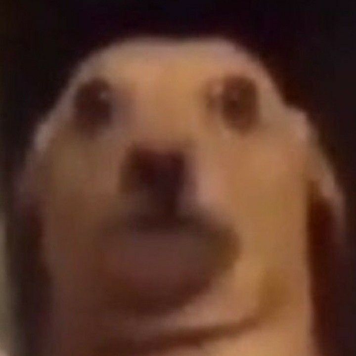 Lobdoge tweet media