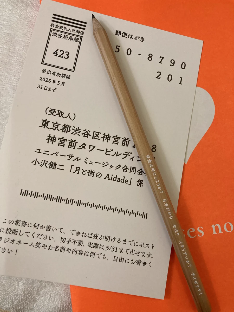 小沢健二 サマーバッグ 月と街のAidade おまけ付き 小沢健二『月と街の
