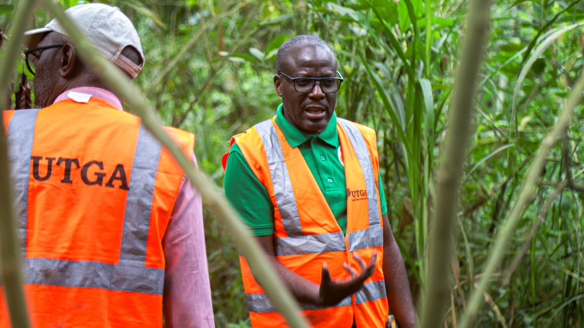 Uganda Timber Growers Association tweet media