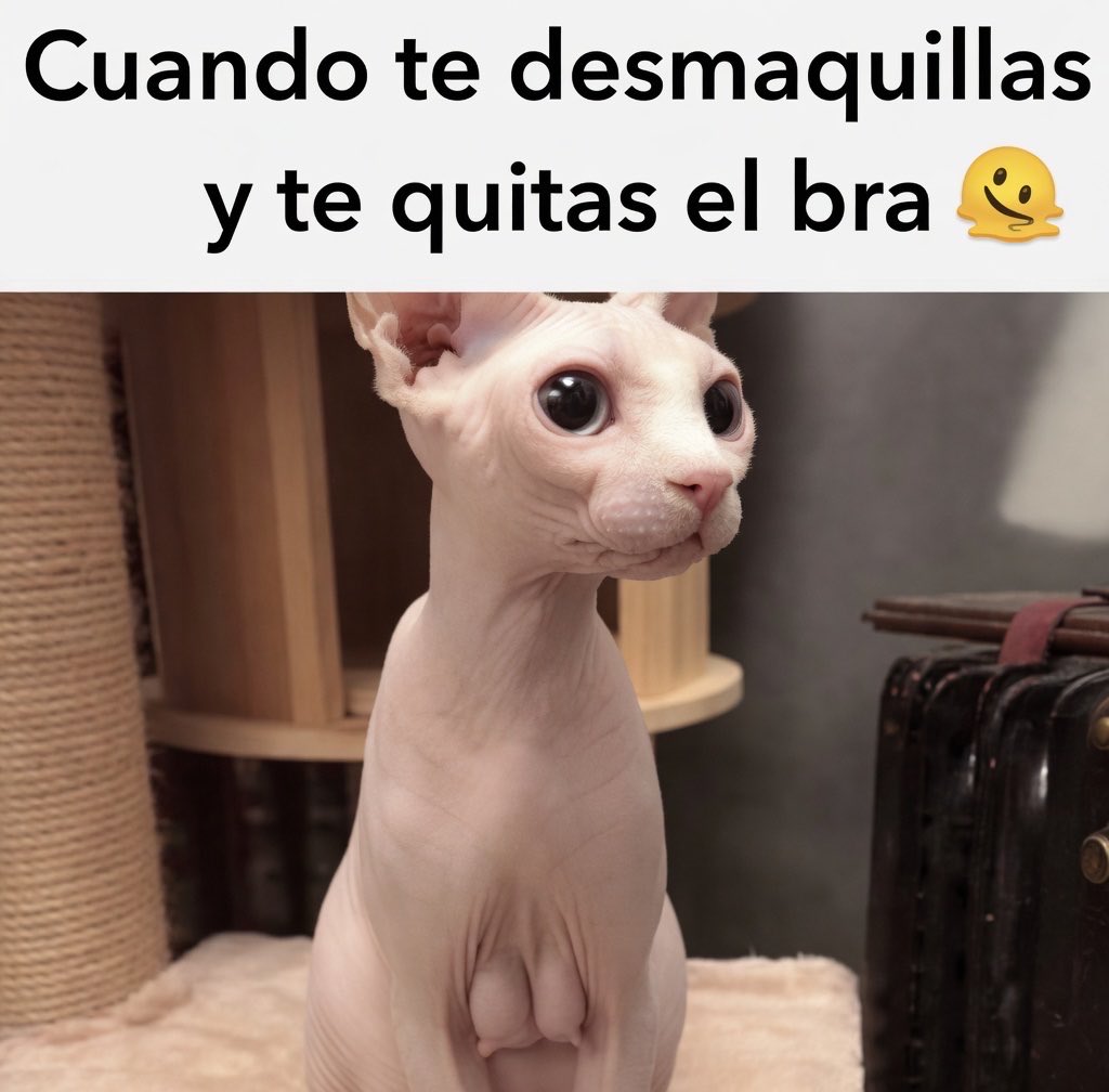 GerberZurdo's tweet photo. 😹 https://t.co/cnc2YH3HB2