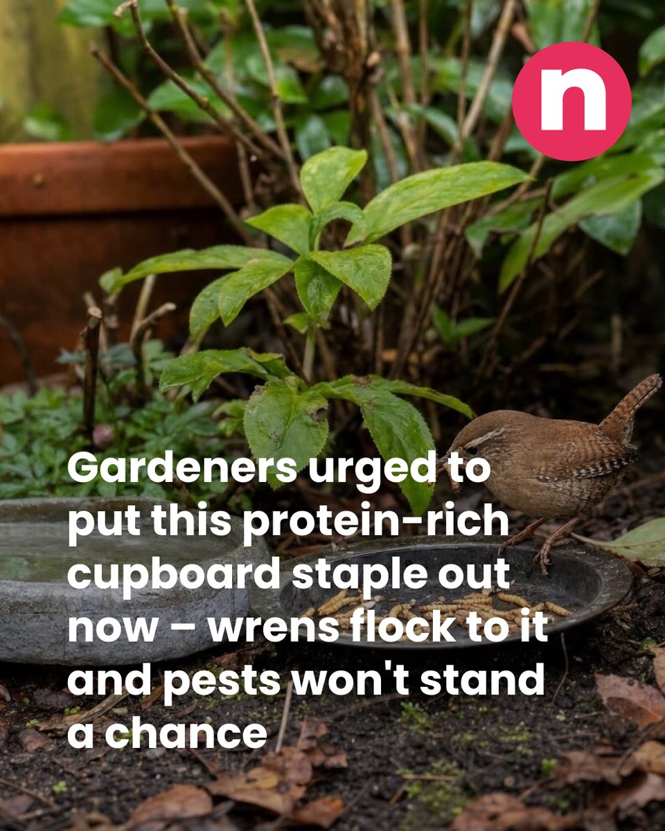 Netmums tweet media
