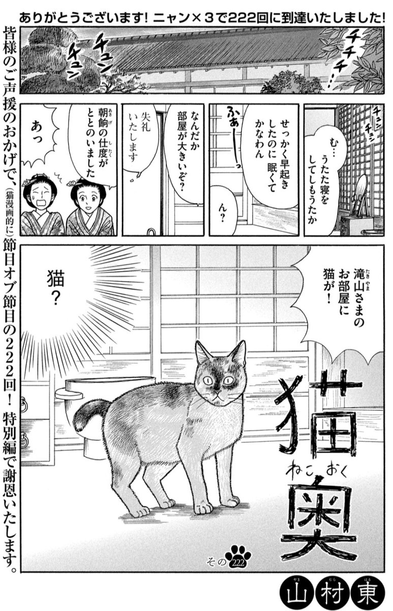 🐈猫奥🏯公式＠12巻発売中📕 tweet media