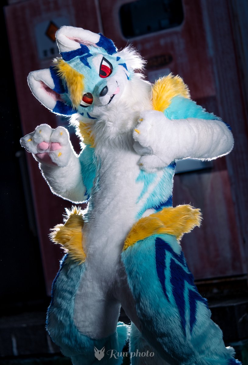 るん (Run) (@run_charizard) / Posts / X