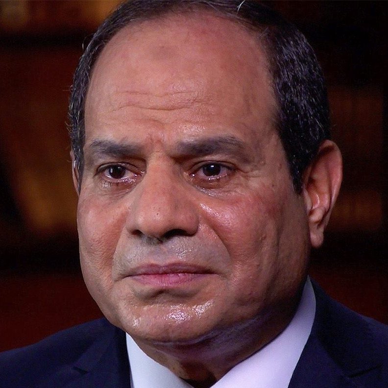 الإمارات تحت المجهر tweet media
