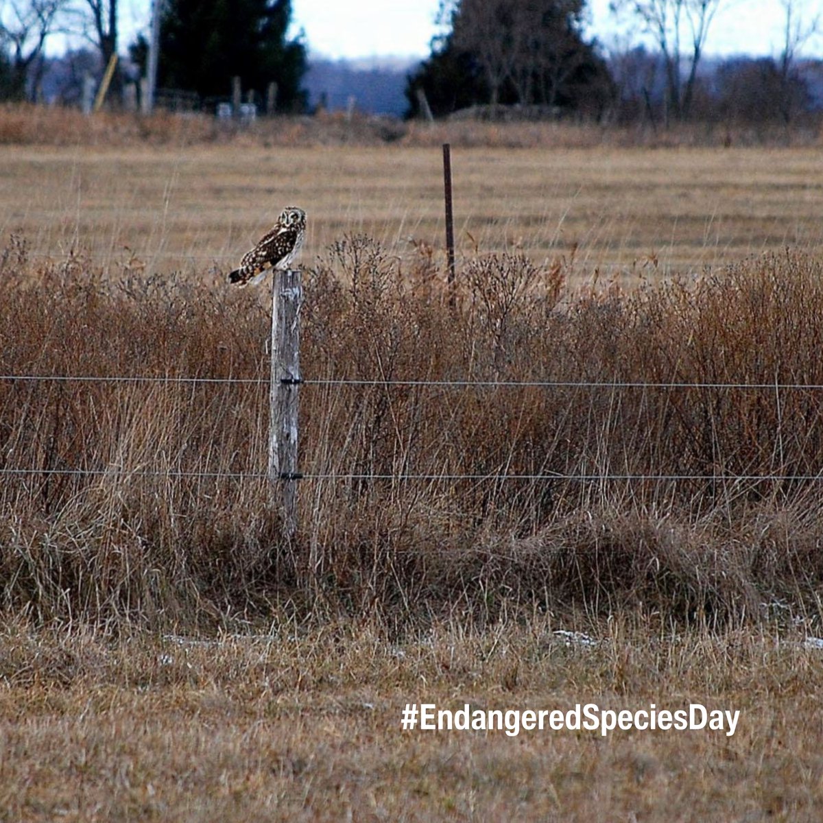 Ontario Soil & Crop tweet media