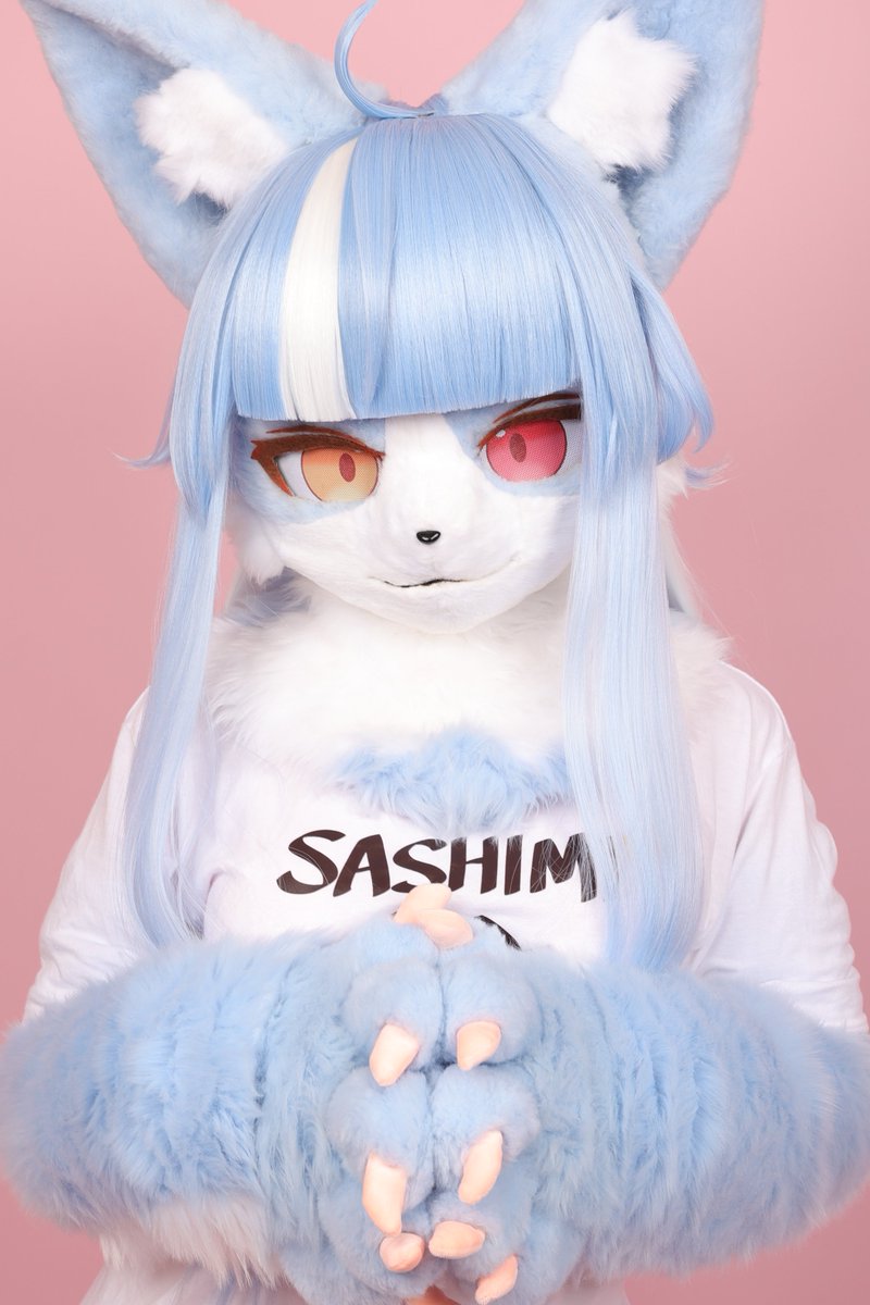 ごまねこページ 5/16(土)、5/17(日) 静岡ホビーショー 青島文化教材社さんのブースに