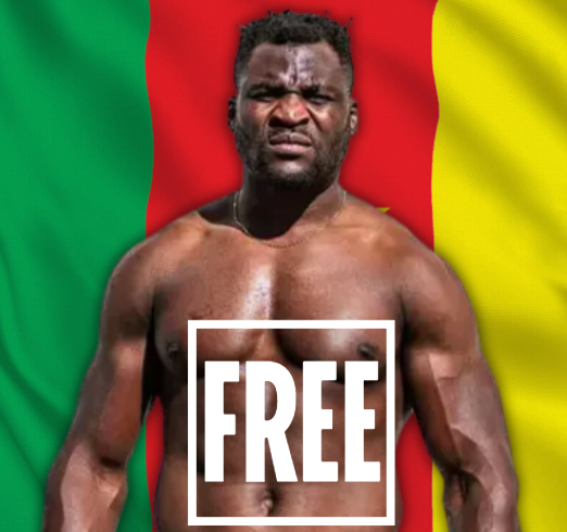 Finz Chats MMA tweet media