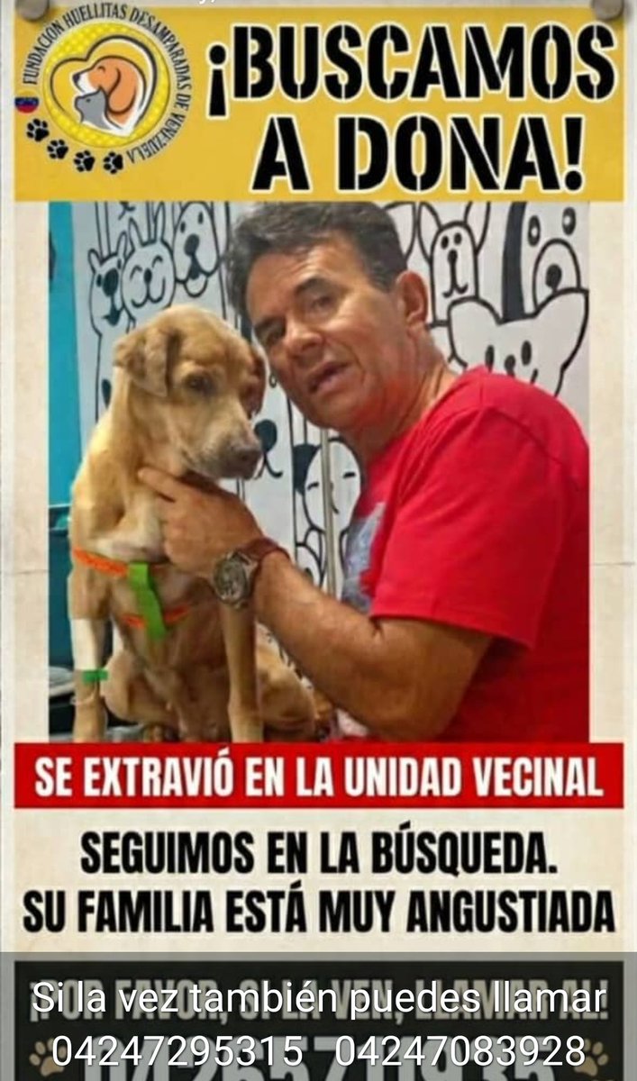 PerroUsuario Wof '•' tweet media