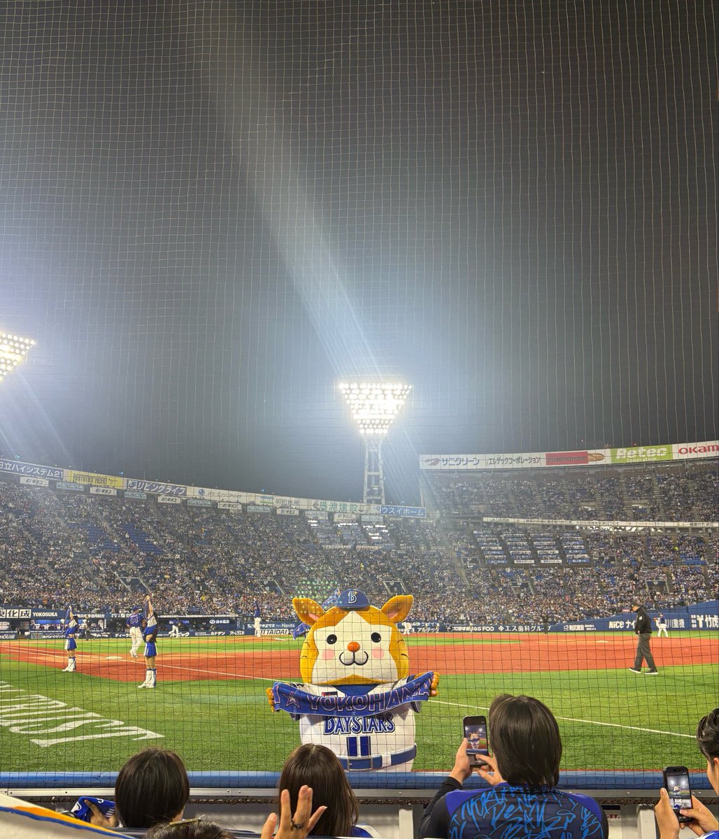 m38ya__m's tweet photo. かわいいね😍🐹🐻
#ベイスターズ
#baystars
#ガルフェス https://t.co/hKLY2W6tZP