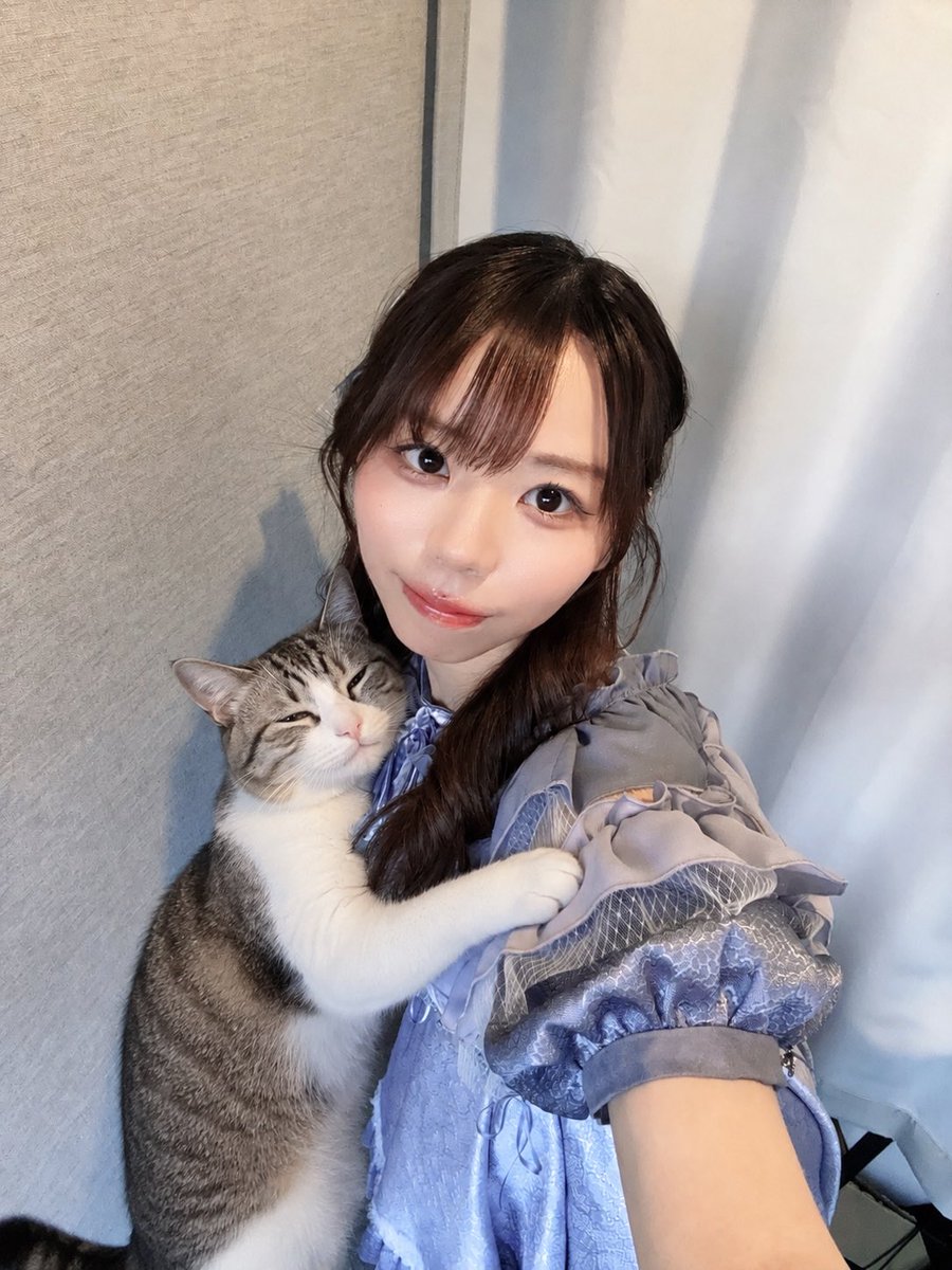 ririka_ssj0202's tweet photo. 見て〜😻
猫ちゃんに懐かれちゃった‼️
可愛すぎるね💕︎

#清麗使命女子 #猫大好き https://t.co/doGiw2HLXP