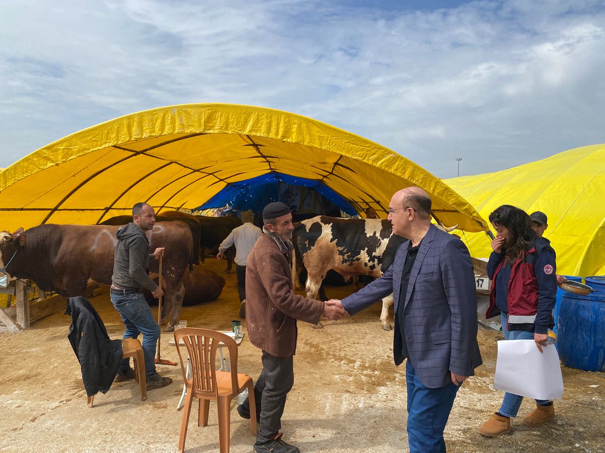 ankaratarim's tweet photo. Kurban Bayramı öncesi kurban pazarlarında yapılan denetimleri yerinde inceleniyor!
Geçici Kurban Satış yerlerinde pazara gelen hayvanların sağlık raporlarını, pasaport ve küpeleri kontrol edilmektedir.
#kurban #kurbanlık #bayram #büyükbaş #küçükbaş https://t.co/zZMoil4teD