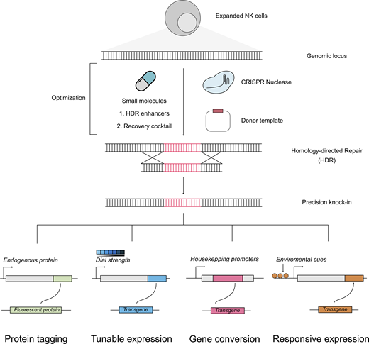 Waggoner Lab tweet media