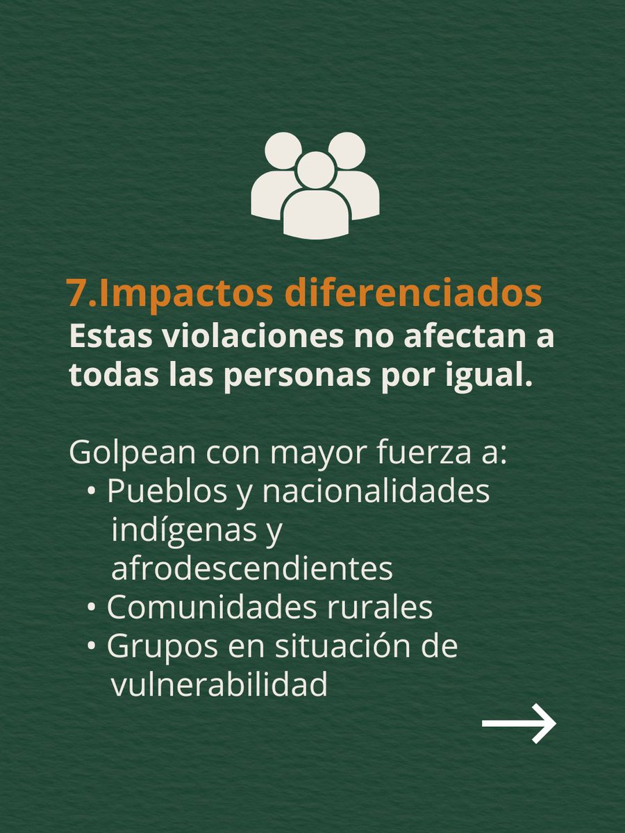Alianza de Organizaciones por los Derechos Humanos tweet media