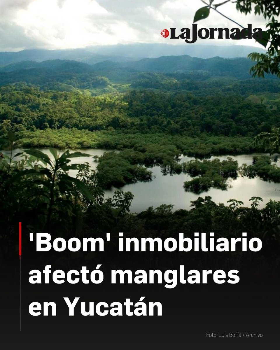 La Jornada tweet media