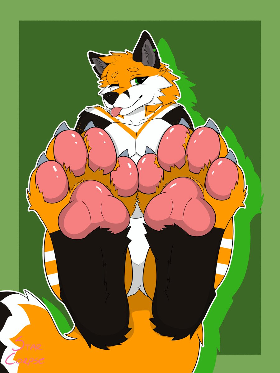 GrumpyFox tweet media