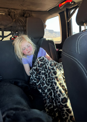 XCountryLiving's tweet photo. The aftermath of Chicken Corners and the Moab Wind Caves. ๐ด You can always judge the success of an off-road trip by the backseat! Dozer claimed the console and the kids are out cold. ๐๐ถ Grab Dozer's off-road dog essentials list here: https://t.co/AacDNR40gb #Traildog #Moab https://t.co/uSyKYg55qK