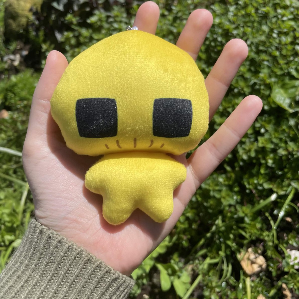 Poke🍂 tweet media