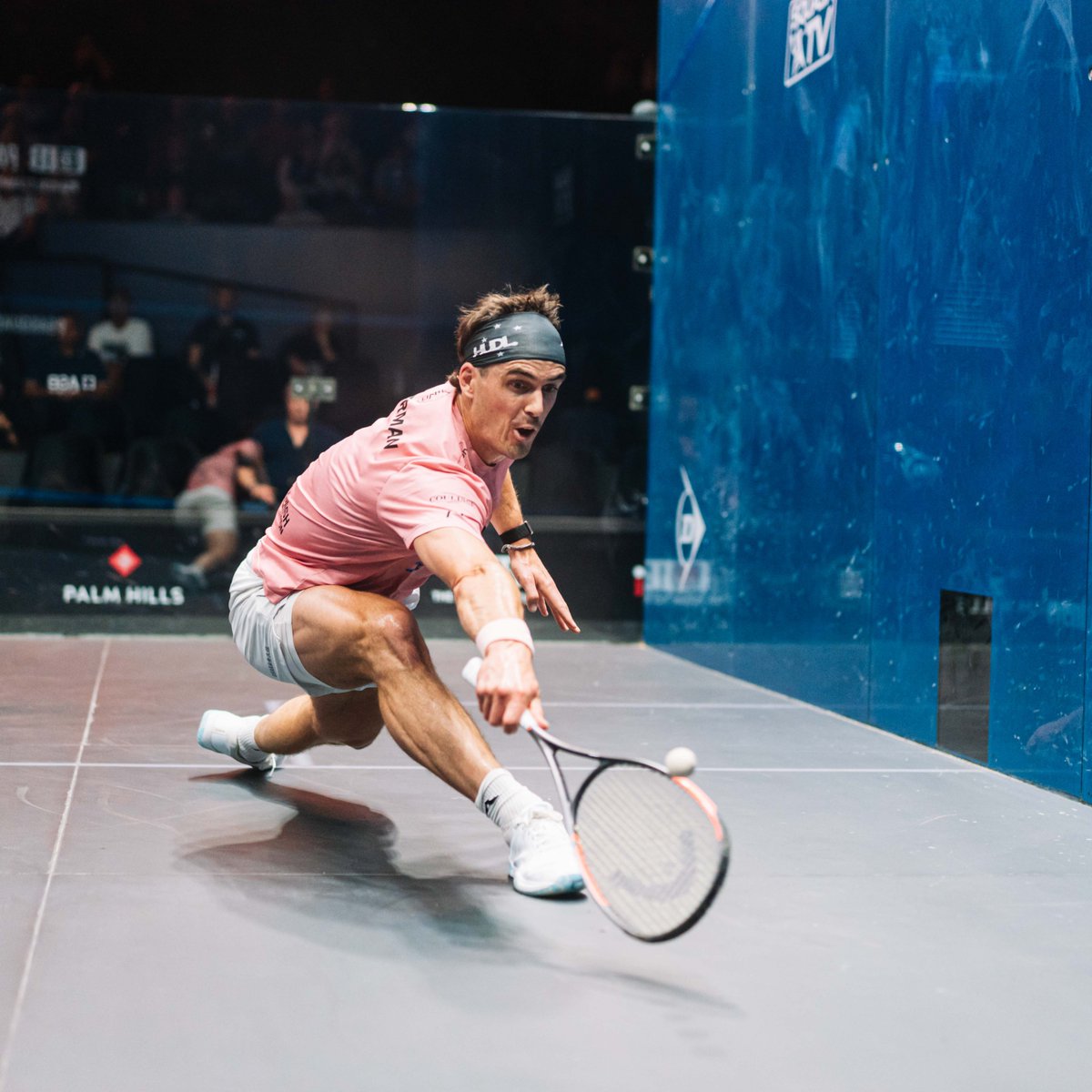 Squash New Zealand tweet media