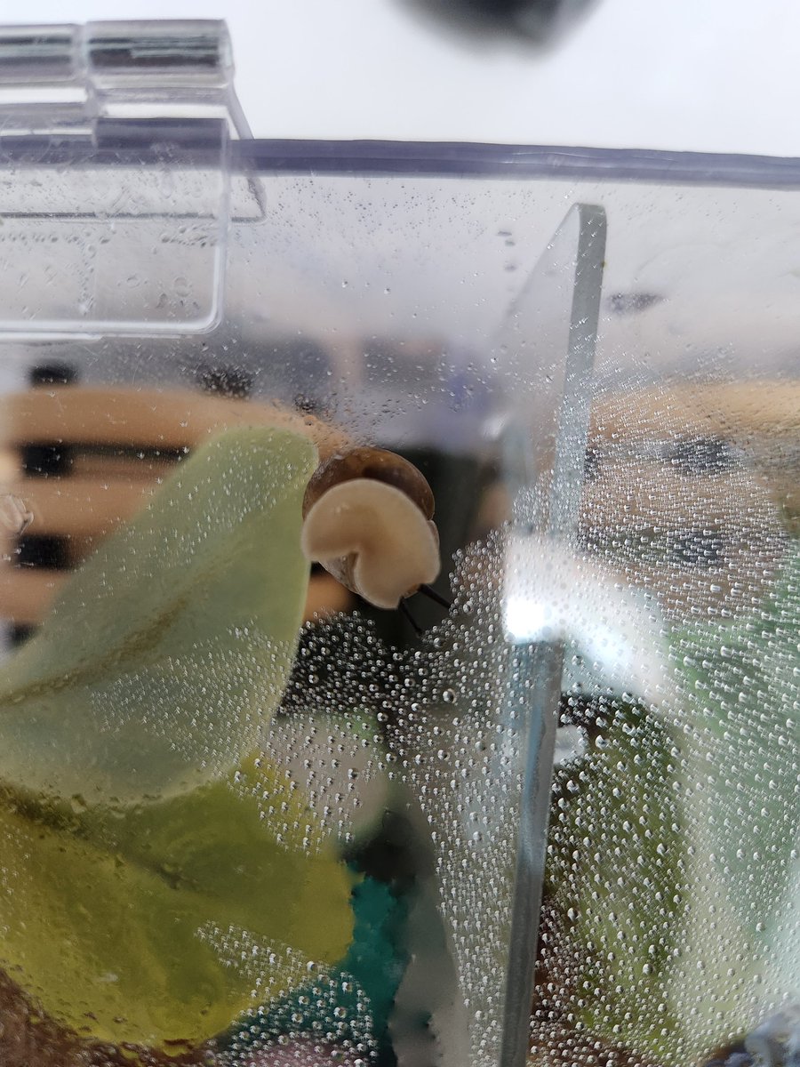 YA99I tweet media