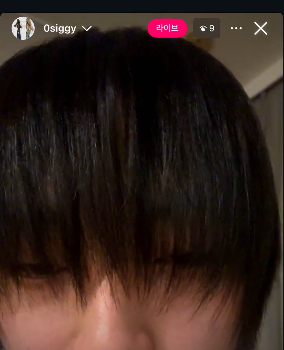 코케 tweet media
