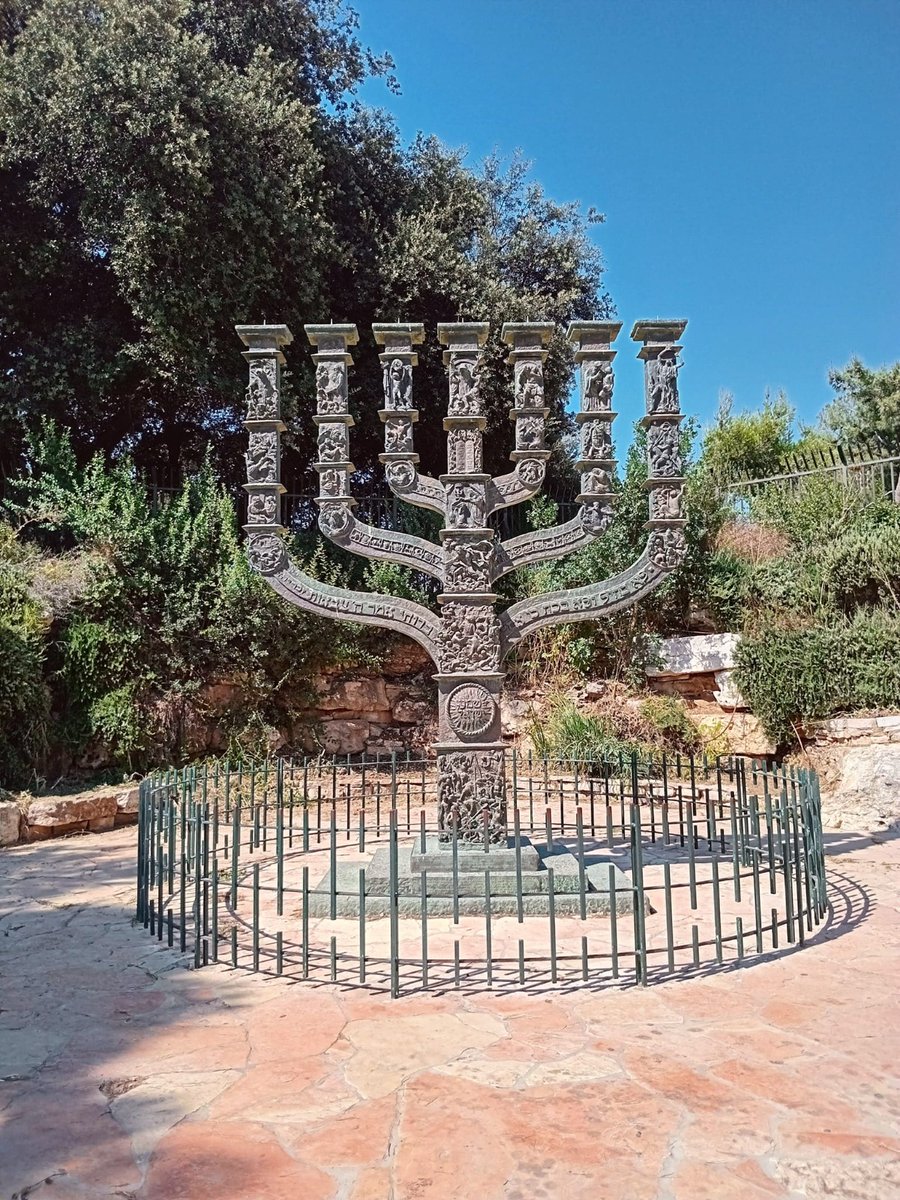 Mordechai D. Rodgold tweet media