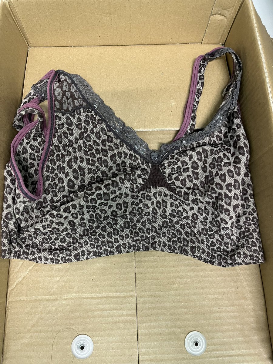 淘汰尋寶屋 tweet media