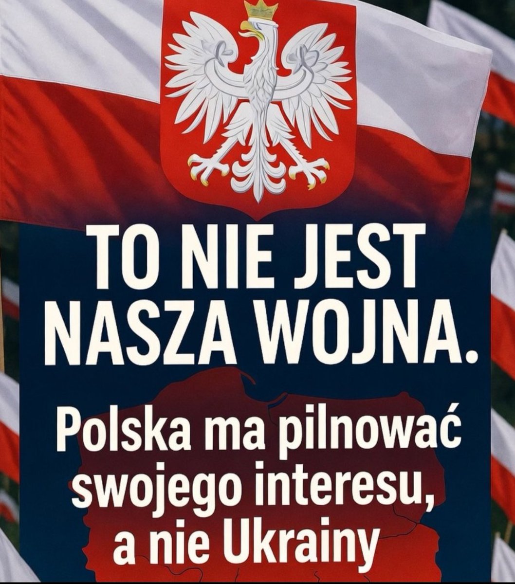 alicja selerska tweet media