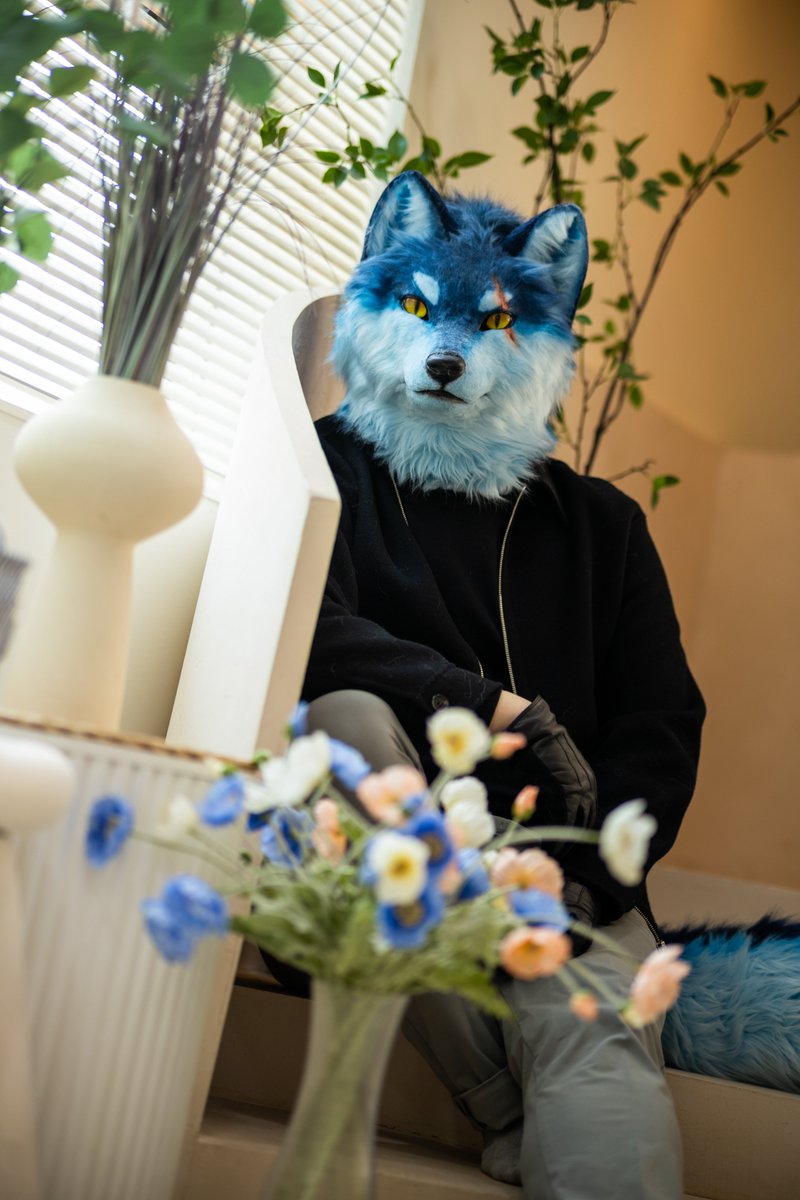 Kro(크로)🔜 furstclass tweet media