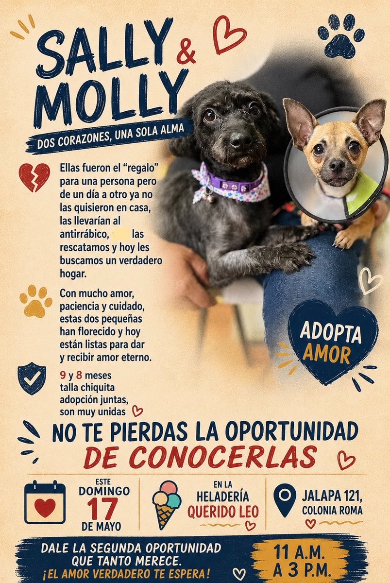 𝙷𝚎𝚕𝚊 𝙼𝚘𝚛𝚎 🐶 tweet media