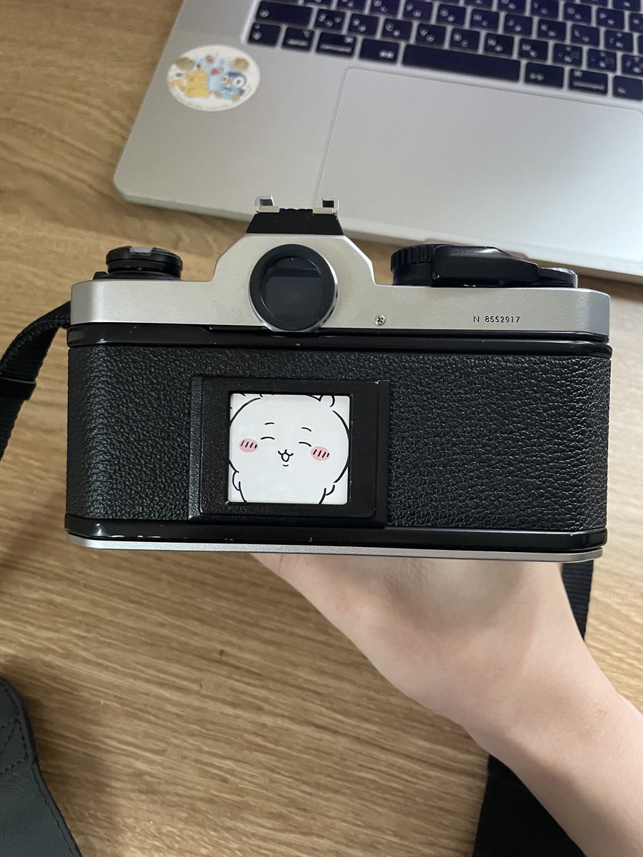 sato2209_'s tweet photo. ぼくの歴代カメラたちどれも良いツラをしている https://t.co/ce2vuc8Lrd