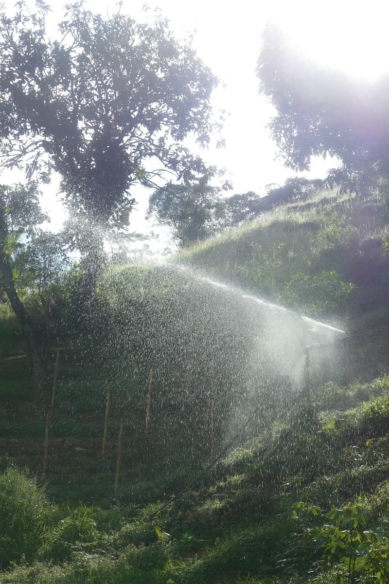 comprarfinca's tweet photo. ¿Cuántas fincas en el Valle del Cauca tienen energía solar, agua de manantial, 2 casas y cascada propia? Esta es una. 🌊 https://t.co/88U1k5LUCA #FincaEnVenta #ValledelCauca #CaliColombia #PropiedadRural https://t.co/y1nSxJIp4D
