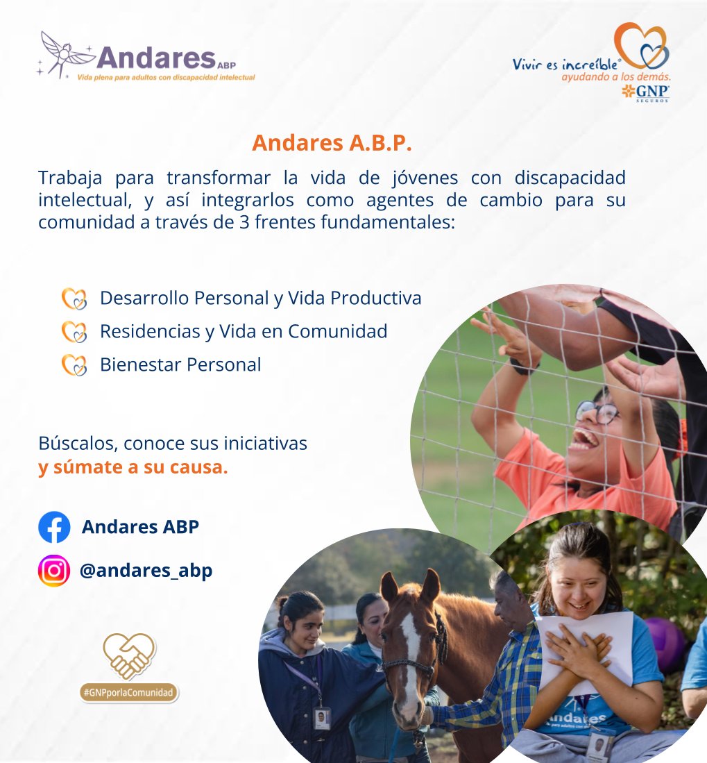 GNP Seguros tweet media