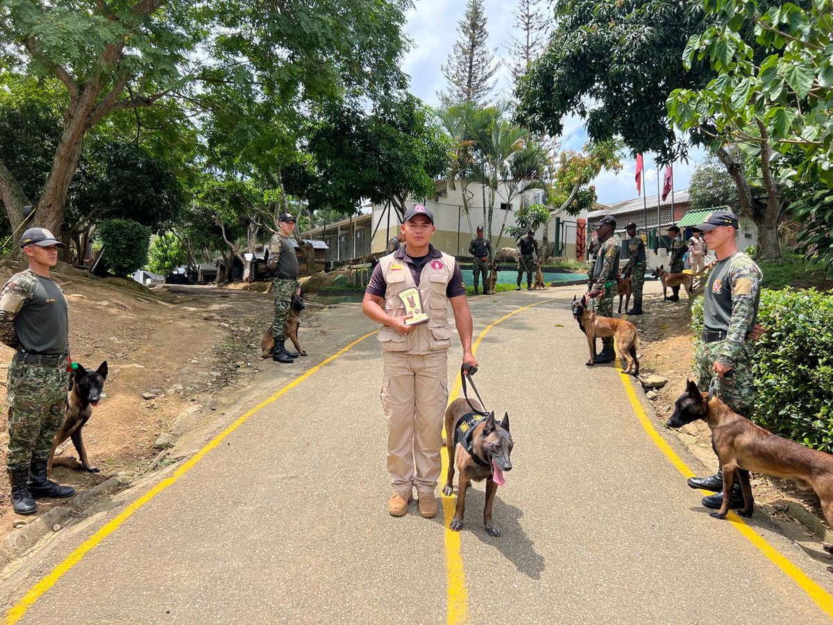 Ingenieros_EJC's tweet photo. 🐾 Después de 9 años de servicio en el @COL_EJERCITO,  soldados del Batallón de Ingenieros de Desminado Humanitario N.° 3 rindieron un emotivo homenaje de despedida a Venus, un héroe de cuatro patas que dedicó su vida a proteger a las comunidades de Colombia. 🇨🇴

El homenaje se realizó en el Centro de Entrenamiento y Reentrenamiento Canino de la Quinta Brigada en #Bucaramanga, lugar donde se preparan caninos especializados en desminado humanitario y desminado militar, fundamentales para salvar vidas y brindar seguridad a las comunidades.

Junto a su guía, el soldado Juan Bañol Ibarra, Venus recorrió los departamentos de #Huila, #Caquetá y #Cesar, apoyando la técnica de desminado canino y contribuyendo a despejar caminos de esperanza para cientos de familias.

Hoy, tras años de entrega y sacrificio, Venus deja el uniforme para recibir el mejor premio: un hogar lleno de amor junto a quien fue su compañero inseparable en cada misión. 🐕

Gracias Venus por tu nobleza, tu disciplina y por demostrar que el verdadero heroísmo también camina en cuatro patas.

#PatriaHonorLealtad
#AmigoDe4Patas
#BRDEH