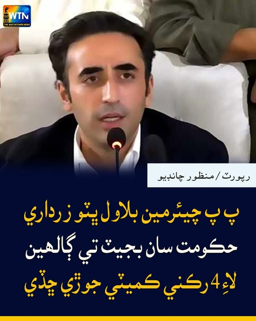 WTN Sindhi tweet media