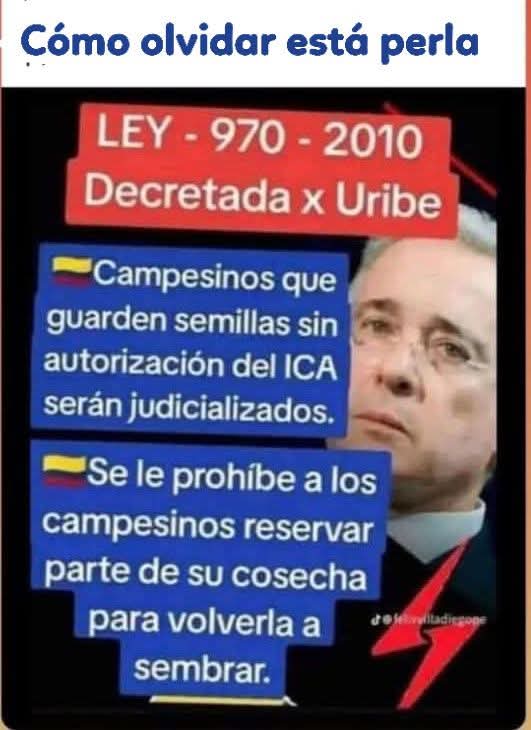 @estepariolobo 8 tweet media