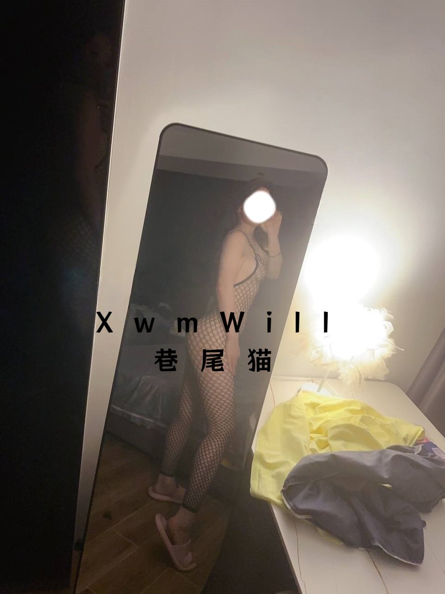 巷尾猫 tweet media