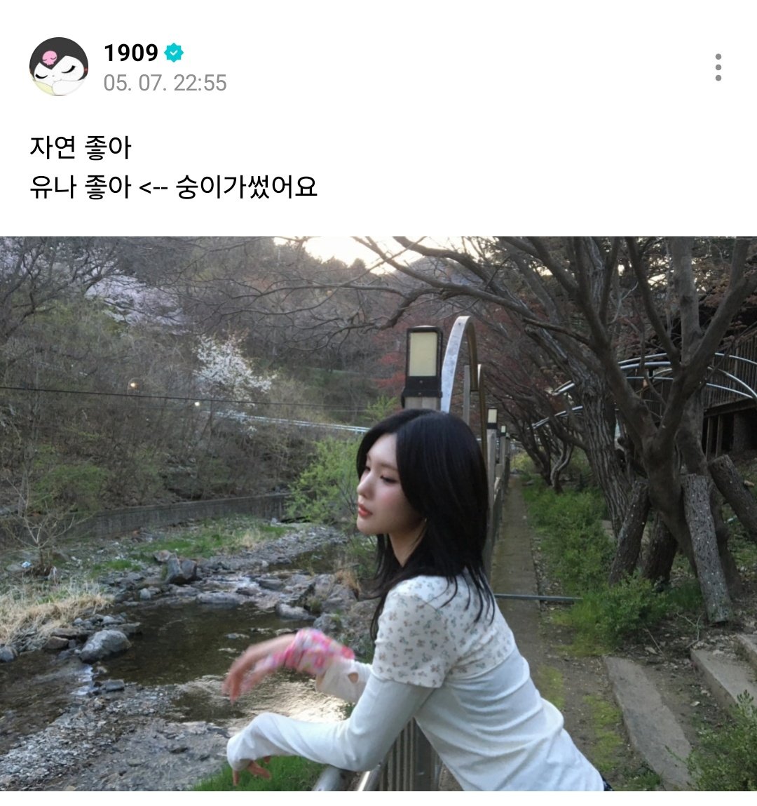 호두 tweet media
