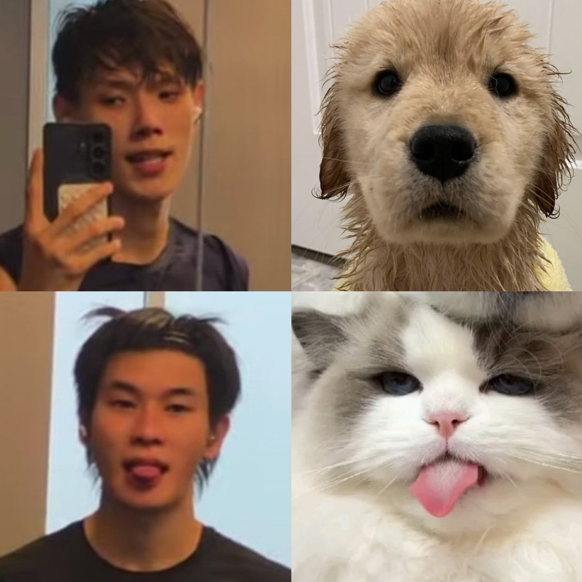 ตุ๊บป่องด๊องด่อง🐥 tweet media