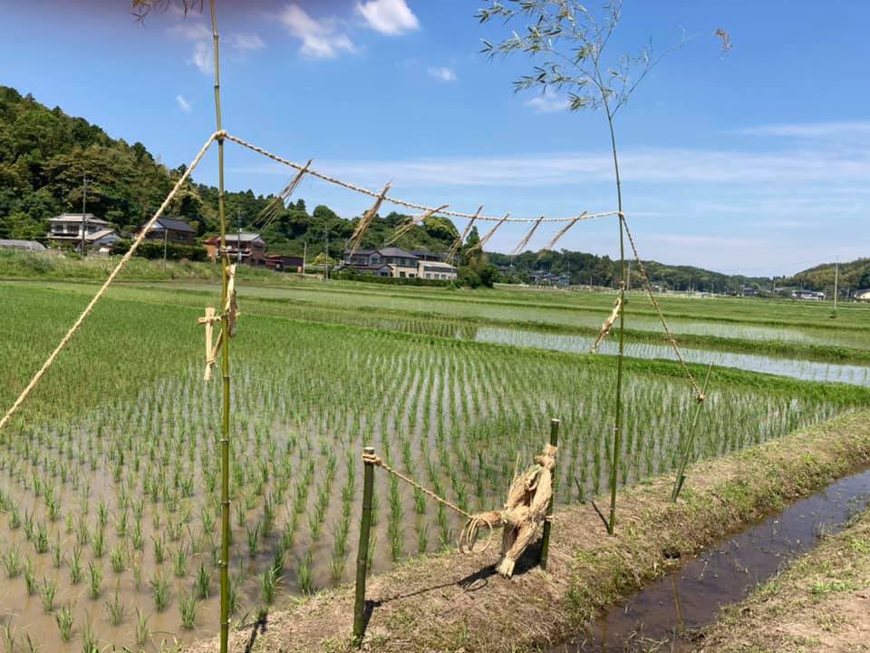 ほいじんが tweet media