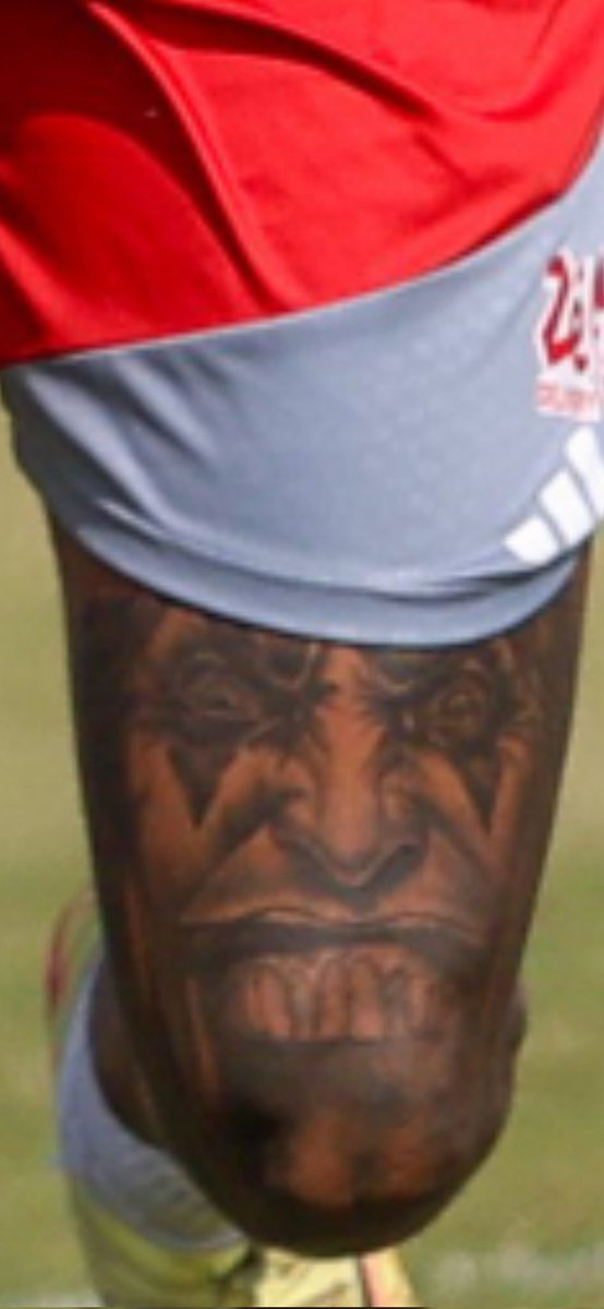 Thiago Tolfo tweet media