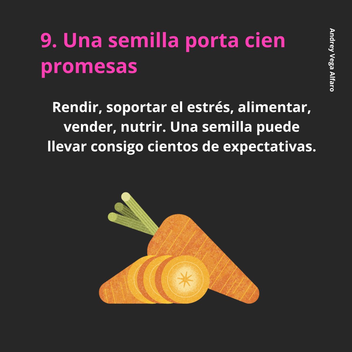 AMSAC Semilleros tweet media