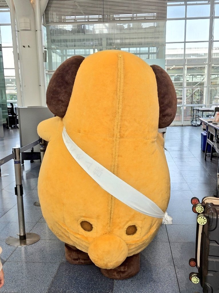 htn.🦭⸝⋆ tweet media