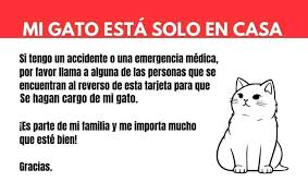 vetsxhelp's tweet photo. Aconsejamos llevar contigo la identificacion de tus animales de compañia. Si tienen que darte asistencia en via publica, mientras estas con tu perro por ej.— o quedo solo en casa, tener la tarjeta con sus datos y telefonos para que alguien lo pueda buscar, van a ser claves https://t.co/1D8k0TchL2