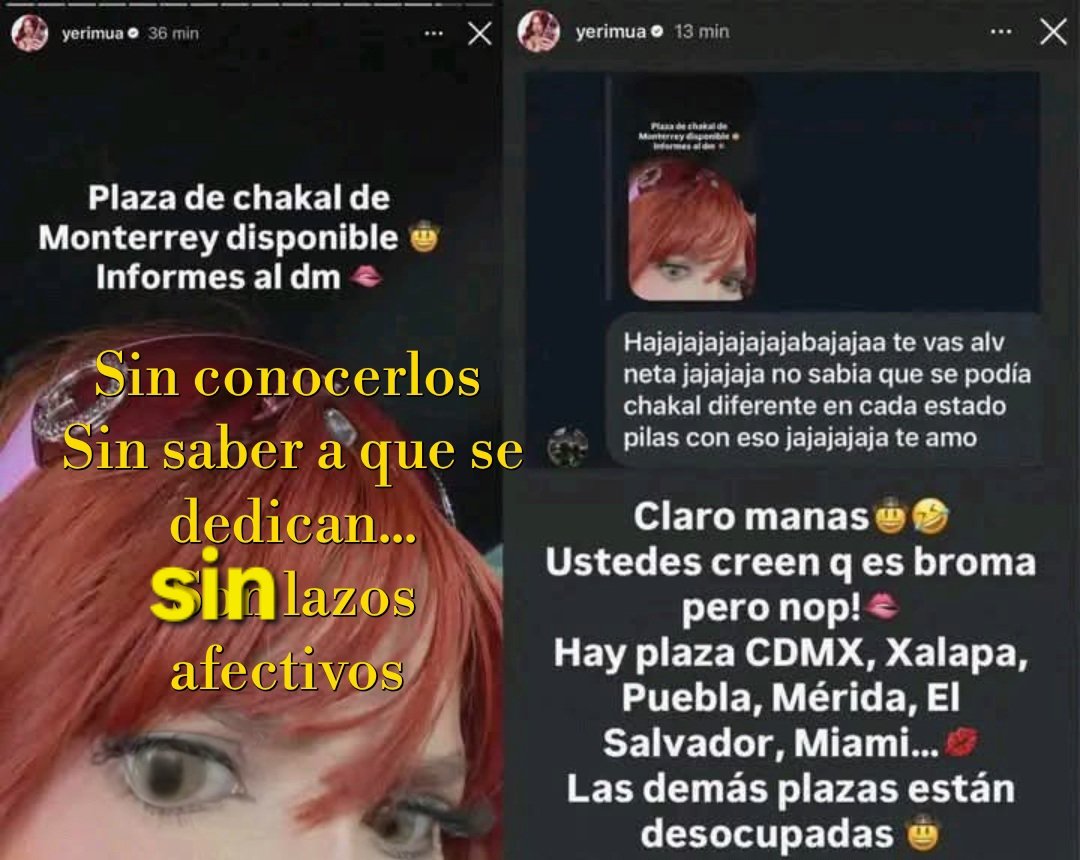 apostol andrea tweet media